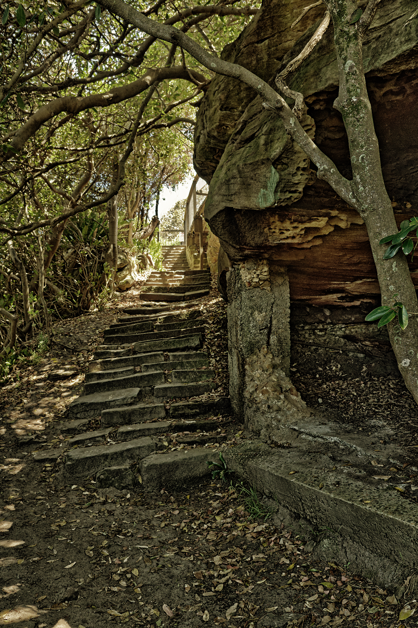 26 December 2022   0149 Nikfotosbyme p1